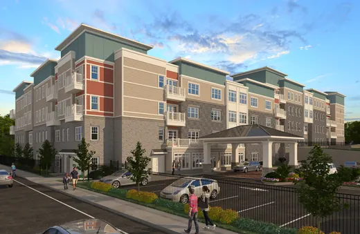 Oasis of Vine City — XR3D visualization